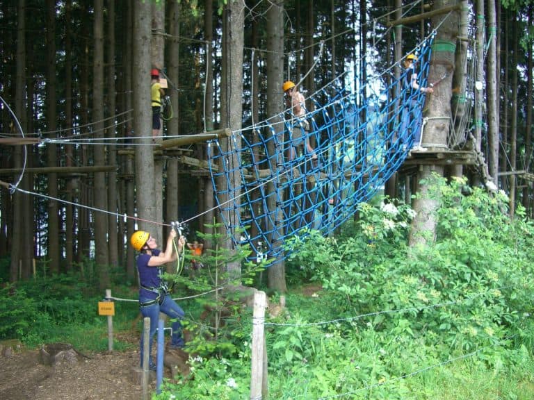 Personen klettern im Kletterwald